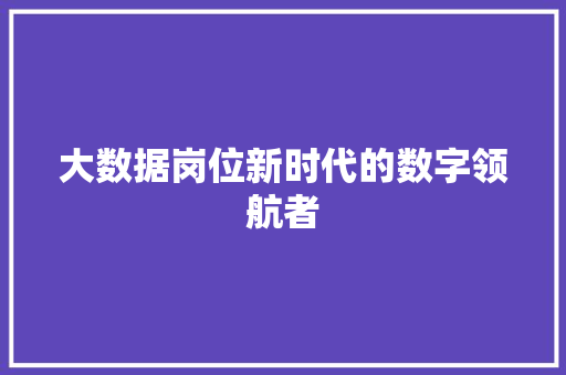 大数据岗位新时代的数字领航者
