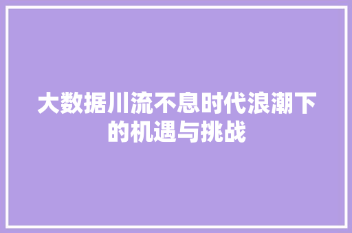 大数据川流不息时代浪潮下的机遇与挑战