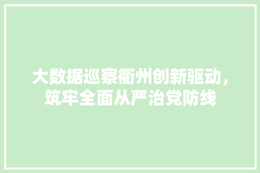 大数据巡察衢州创新驱动，筑牢全面从严治党防线
