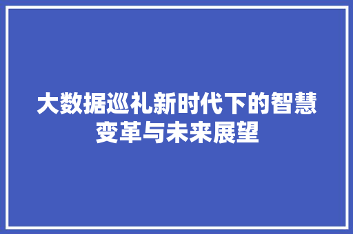 大数据巡礼新时代下的智慧变革与未来展望