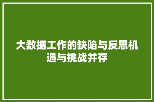 大数据工作的缺陷与反思机遇与挑战并存