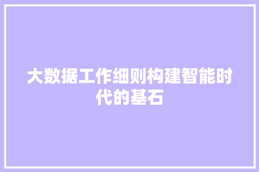 大数据工作细则构建智能时代的基石