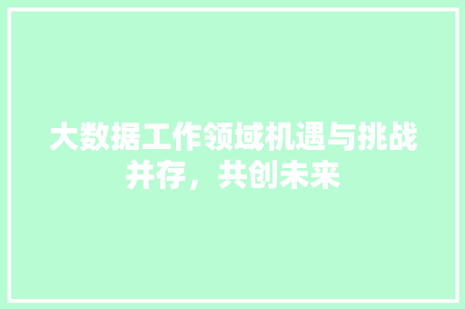 大数据工作领域机遇与挑战并存，共创未来