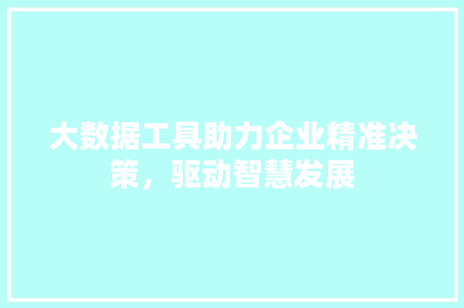 大数据工具助力企业精准决策，驱动智慧发展