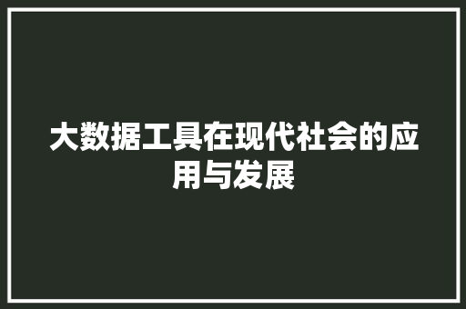 大数据工具在现代社会的应用与发展