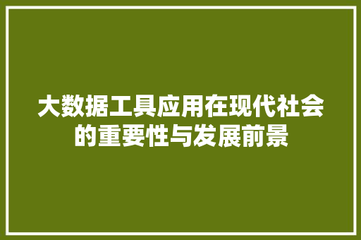 大数据工具应用在现代社会的重要性与发展前景