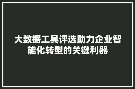 大数据工具评选助力企业智能化转型的关键利器