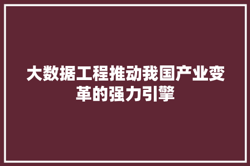 大数据工程推动我国产业变革的强力引擎