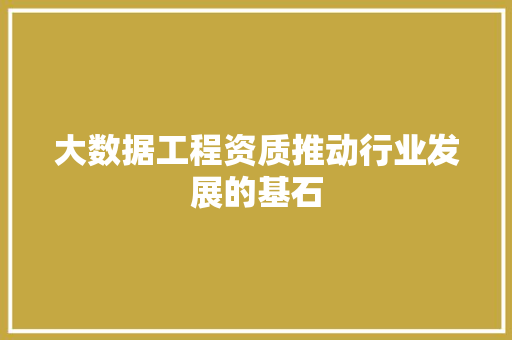 大数据工程资质推动行业发展的基石