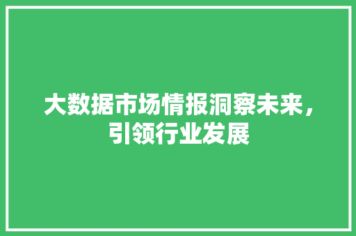 大数据市场情报洞察未来，引领行业发展