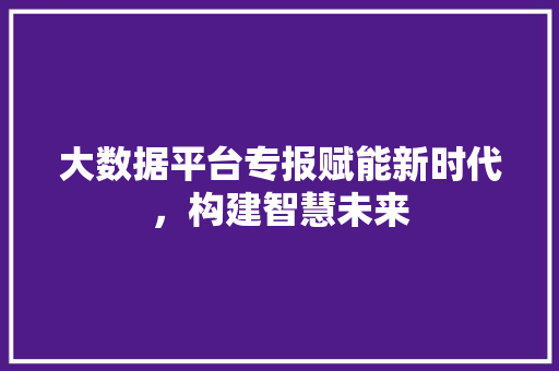 大数据平台专报赋能新时代，构建智慧未来