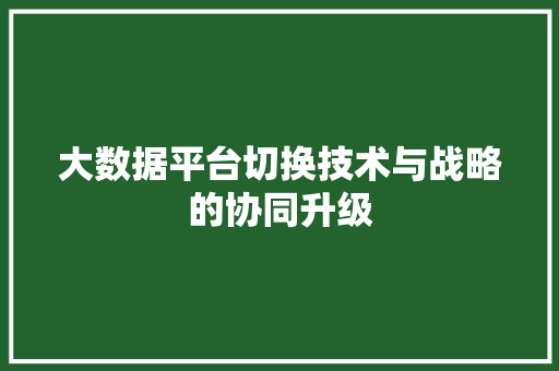 大数据平台切换技术与战略的协同升级