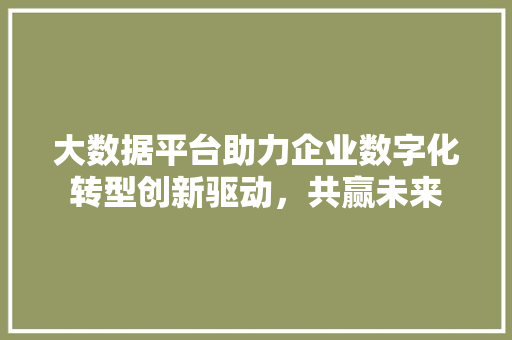 大数据平台助力企业数字化转型创新驱动，共赢未来