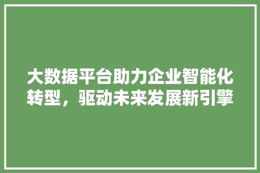 大数据平台助力企业智能化转型，驱动未来发展新引擎