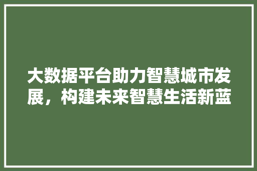 大数据平台助力智慧城市发展，构建未来智慧生活新蓝图 建站教程