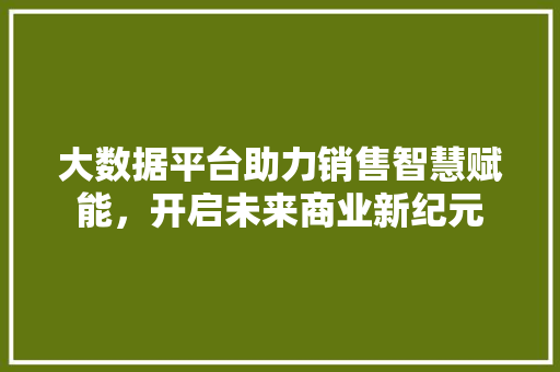 大数据平台助力销售智慧赋能，开启未来商业新纪元