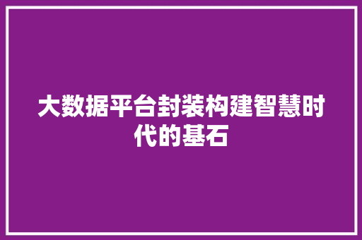 大数据平台封装构建智慧时代的基石