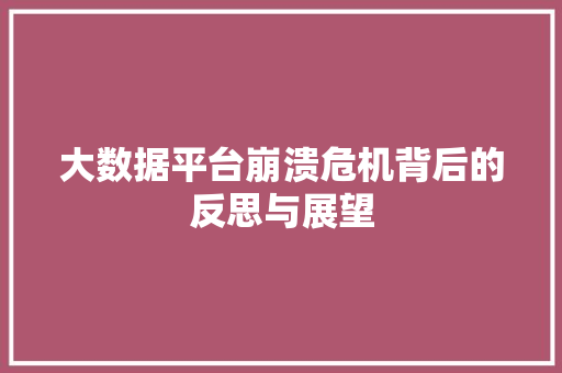 大数据平台崩溃危机背后的反思与展望