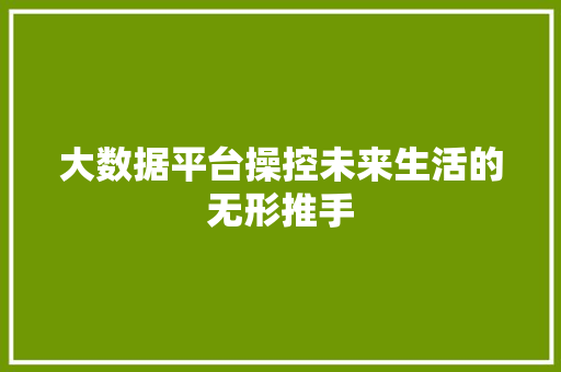 大数据平台操控未来生活的无形推手