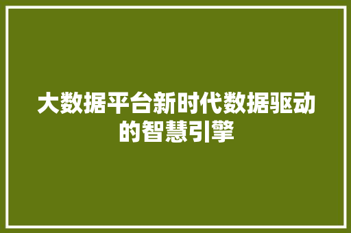 大数据平台新时代数据驱动的智慧引擎