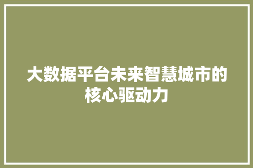 大数据平台未来智慧城市的核心驱动力