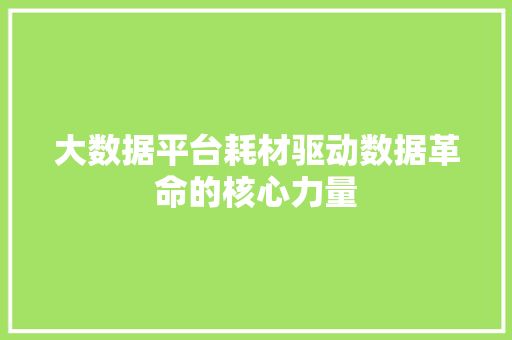 大数据平台耗材驱动数据革命的核心力量