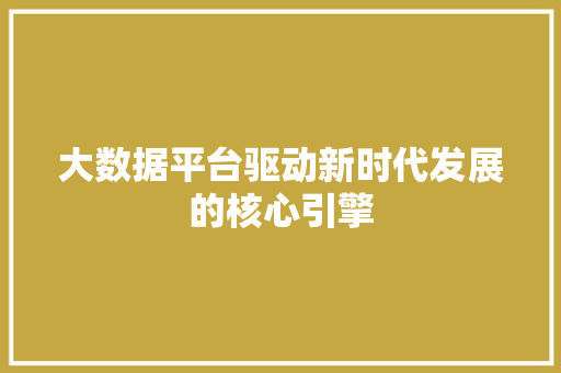 大数据平台驱动新时代发展的核心引擎