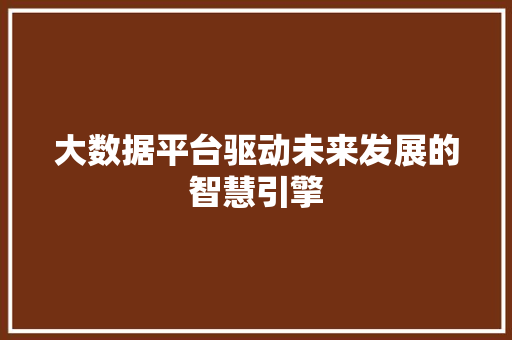 大数据平台驱动未来发展的智慧引擎