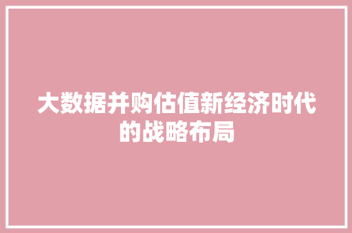 大数据并购估值新经济时代的战略布局