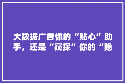 大数据广告你的“贴心”助手，还是“窥探”你的“隐秘”