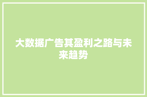 大数据广告其盈利之路与未来趋势