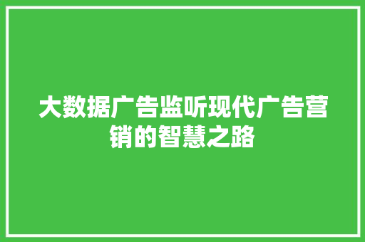 大数据广告监听现代广告营销的智慧之路