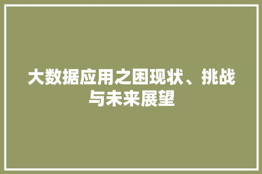大数据应用之困现状、挑战与未来展望