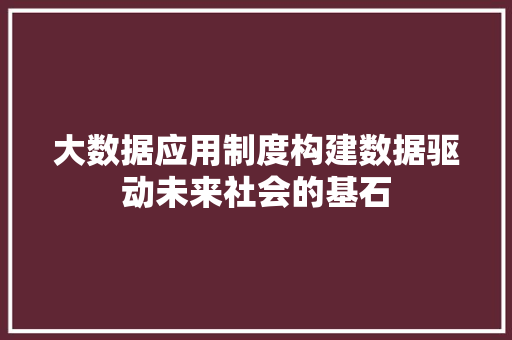 大数据应用制度构建数据驱动未来社会的基石