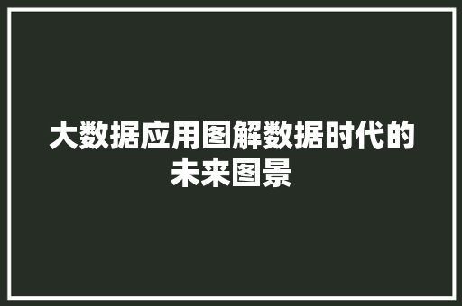 大数据应用图解数据时代的未来图景