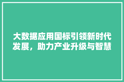 大数据应用国标引领新时代发展，助力产业升级与智慧城市建设