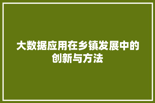 大数据应用在乡镇发展中的创新与方法