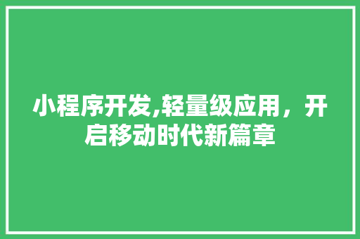 小程序开发,轻量级应用，开启移动时代新篇章