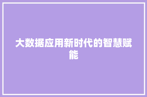 大数据应用新时代的智慧赋能