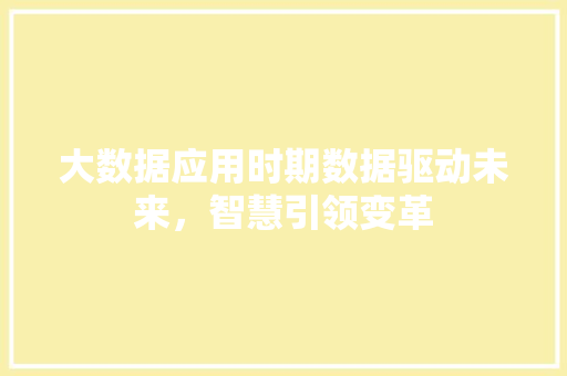 大数据应用时期数据驱动未来，智慧引领变革
