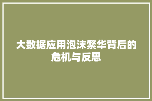大数据应用泡沫繁华背后的危机与反思