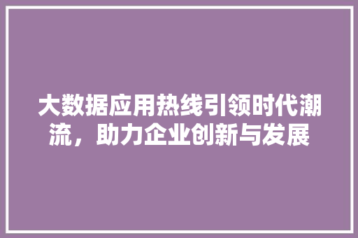 大数据应用热线引领时代潮流，助力企业创新与发展