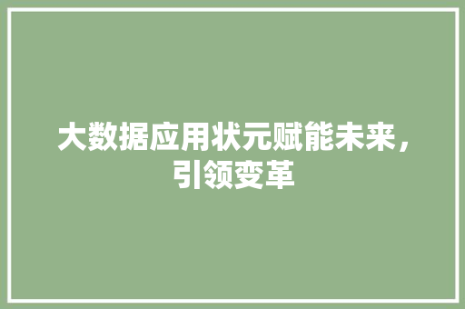 大数据应用状元赋能未来，引领变革