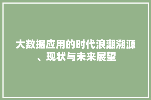 大数据应用的时代浪潮溯源、现状与未来展望