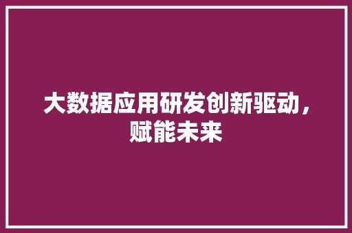 大数据应用研发创新驱动，赋能未来