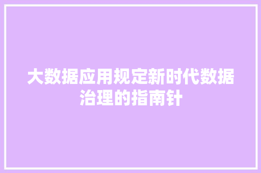 大数据应用规定新时代数据治理的指南针