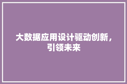 大数据应用设计驱动创新，引领未来