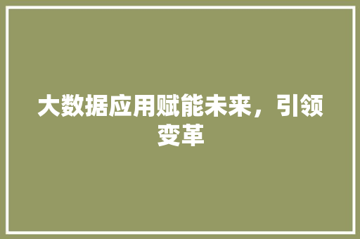 大数据应用赋能未来，引领变革