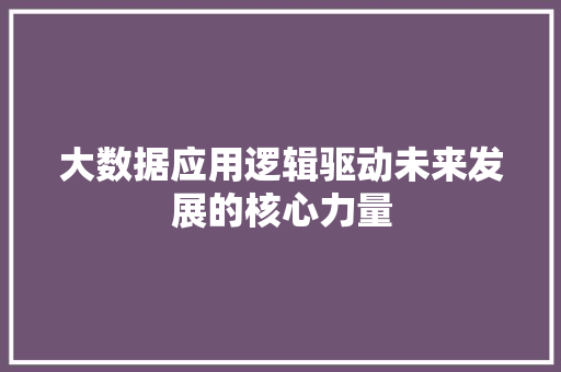 大数据应用逻辑驱动未来发展的核心力量