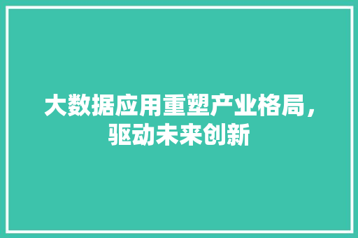 大数据应用重塑产业格局，驱动未来创新